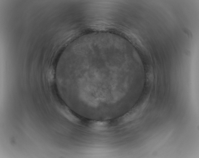 X0000111000081200907022146