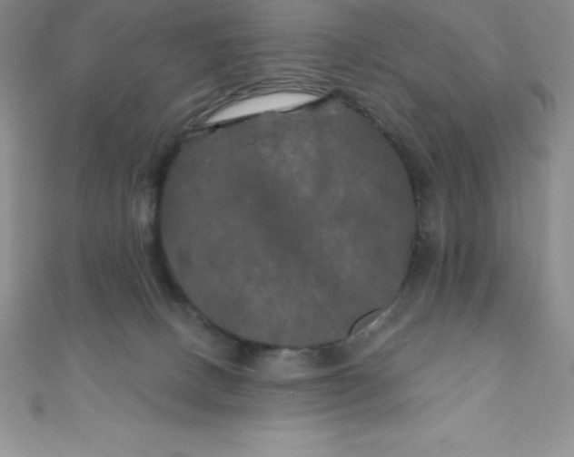 X0000111000082200907022146