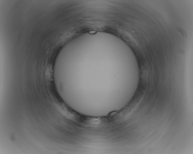 X0000111000083200907022146