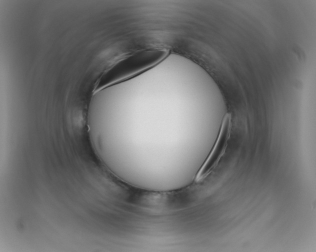 X0000111000084200907022146