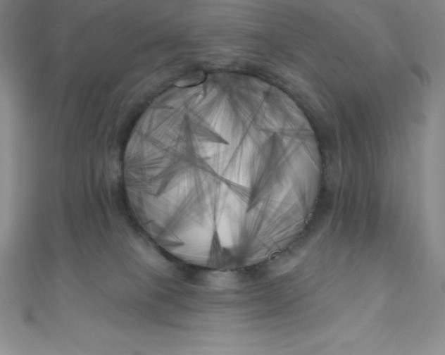 X0000111000085200907022146