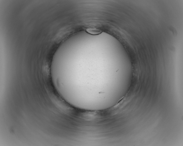 X0000111000086200907022146