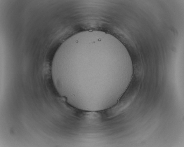 X0000111000087200907022146