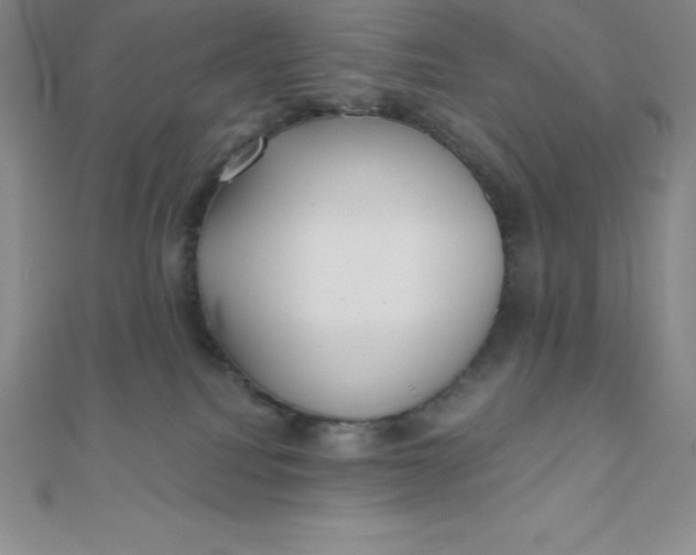 X0000111000088200907022146