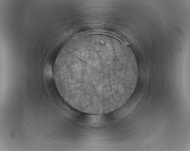 X0000111000089200907022146