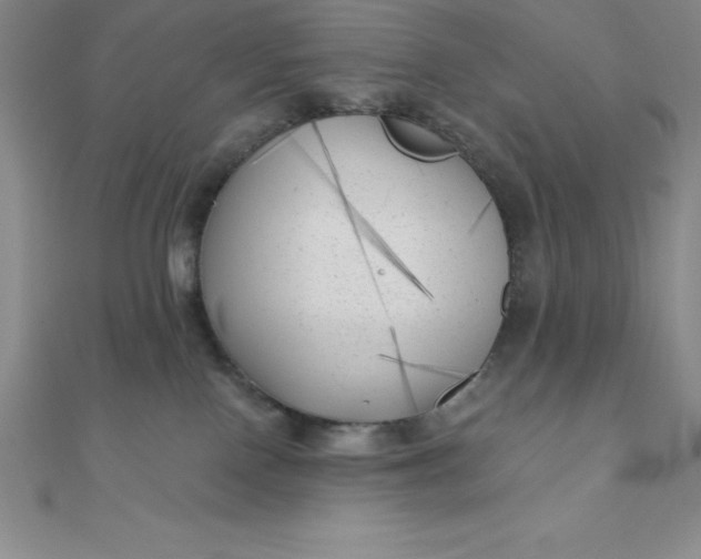 X0000111000090200907022146