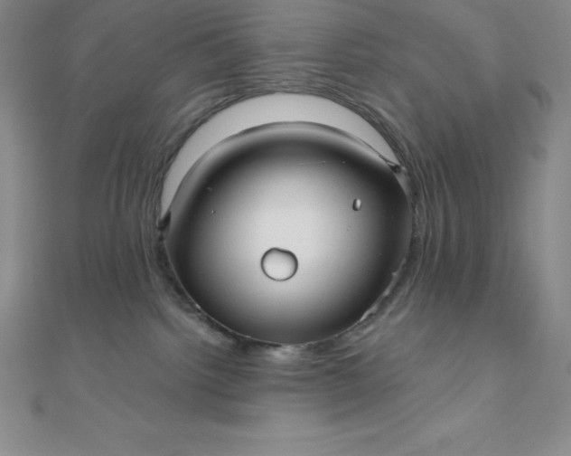 X0000111000092200907022146