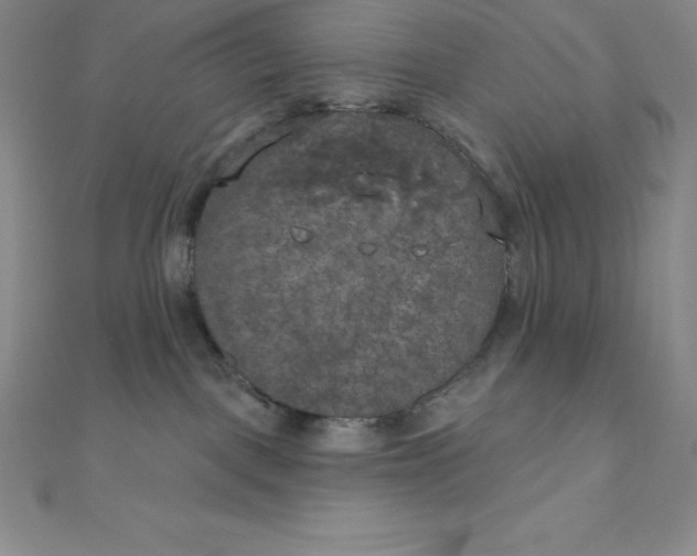 X0000111000093200907022146