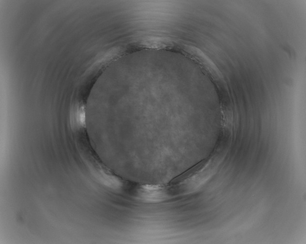 X0000111000095200907022146