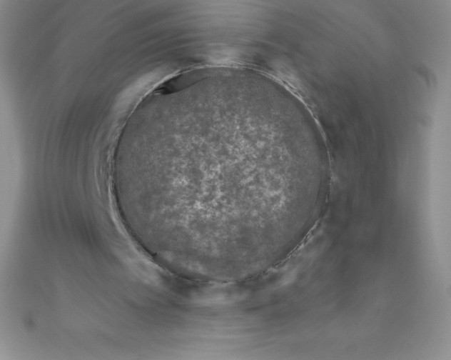 X0000111000097200907022145