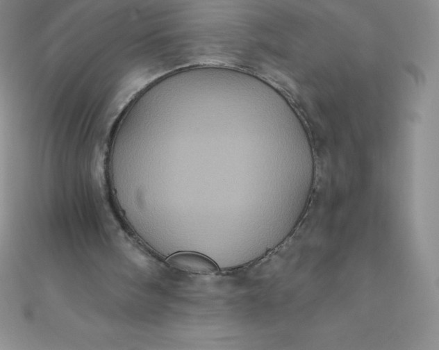 X0000111000098200907022145