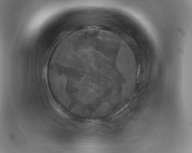 X0000111000099200907022145