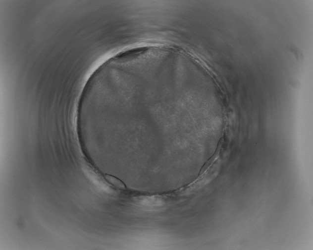 X0000111000100200907022145