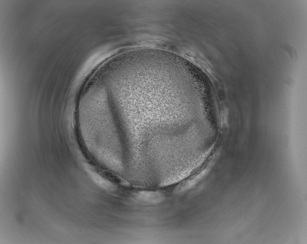 X0000111000101200907022145