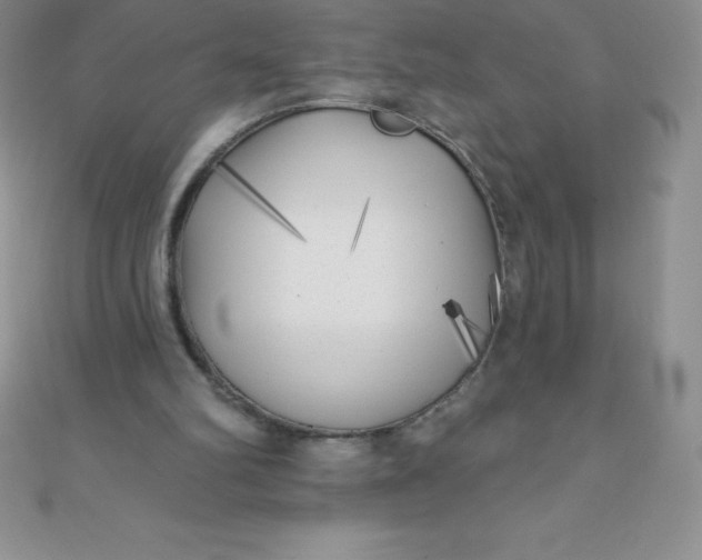 X0000111000102200907022145