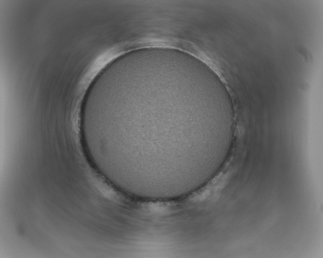 X0000111000103200907022145