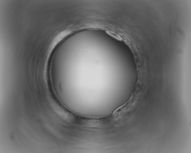 X0000111000104200907022145