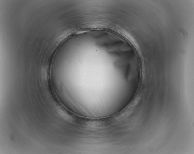 X0000111000105200907022145