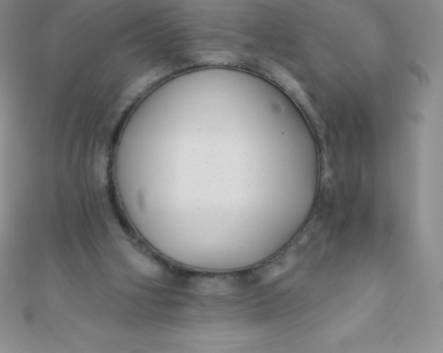 X0000111000106200907022145