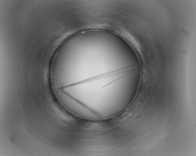 X0000111000107200907022145