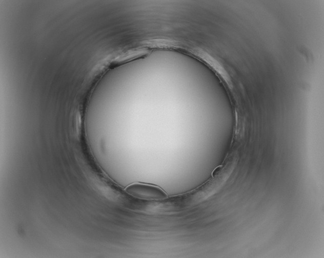 X0000111000109200907022145