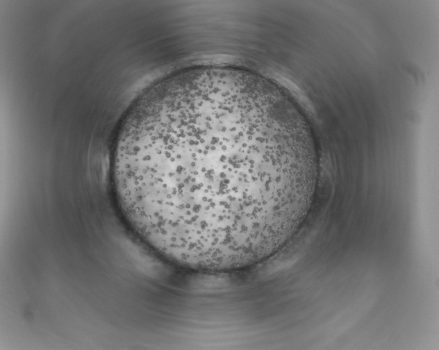 X0000111000110200907022145