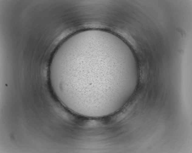 X0000111000111200907022145