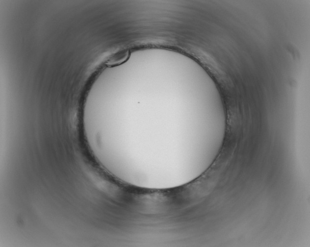 X0000111000112200907022145