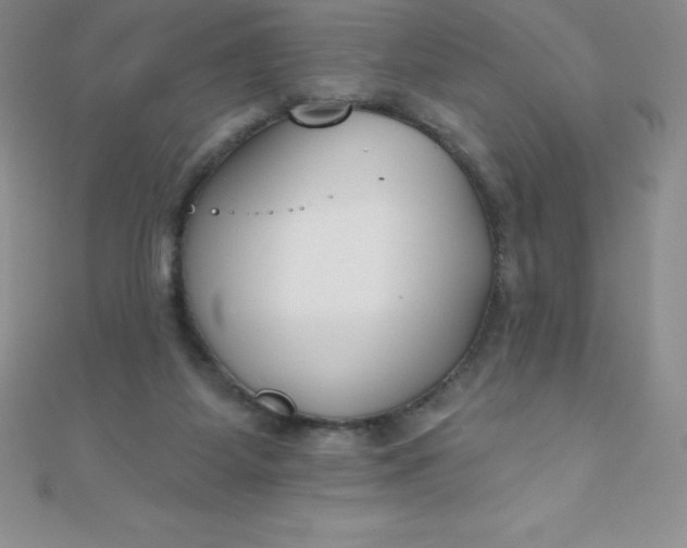 X0000111000115200907022145