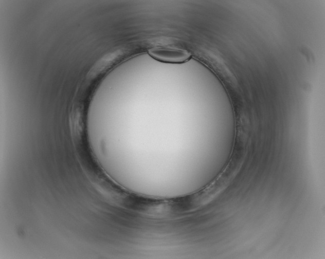 X0000111000116200907022145