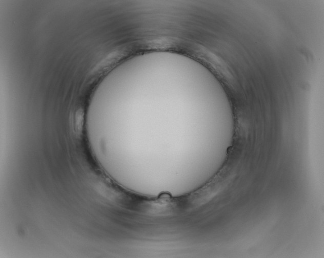 X0000111000118200907022145