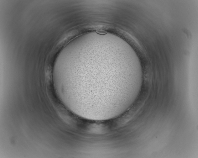 X0000111000119200907022145