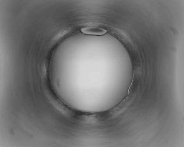 X0000111000120200907022145