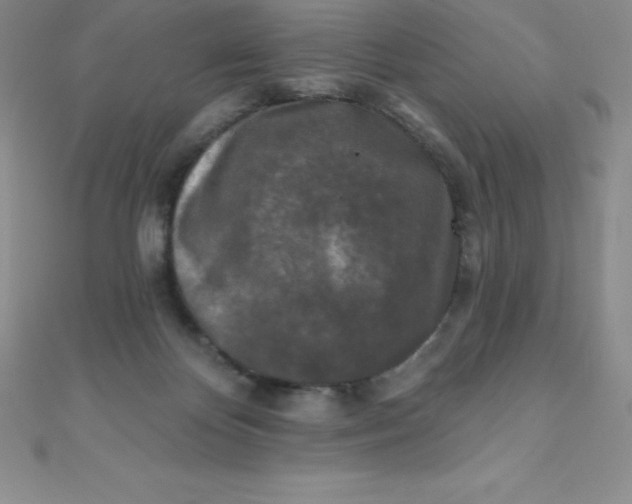 X0000111000124200907022145