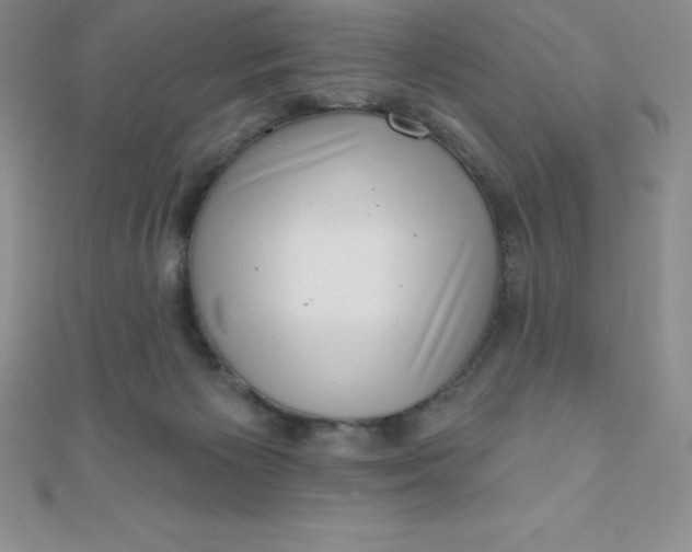 X0000111000125200907022145