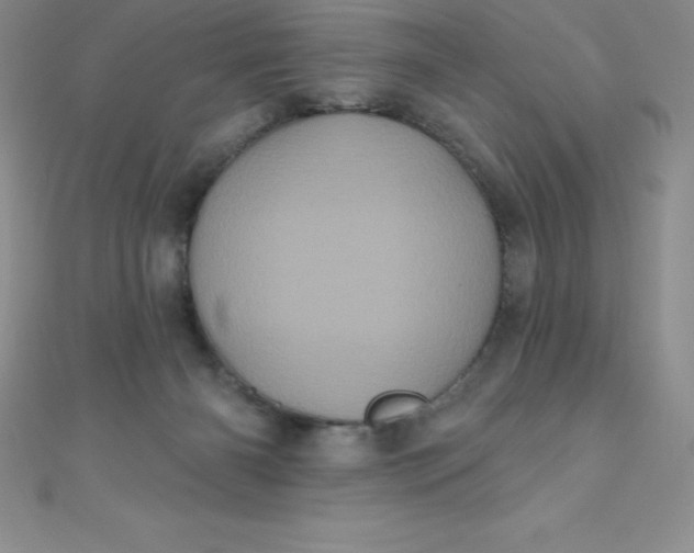 X0000111000126200907022145