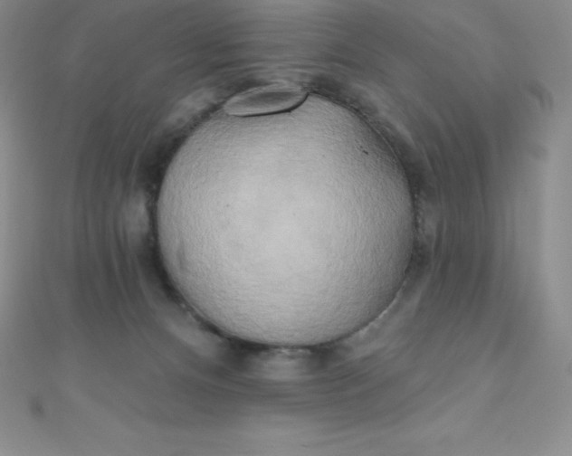 X0000111000128200907022145