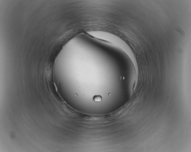 X0000111000129200907022145