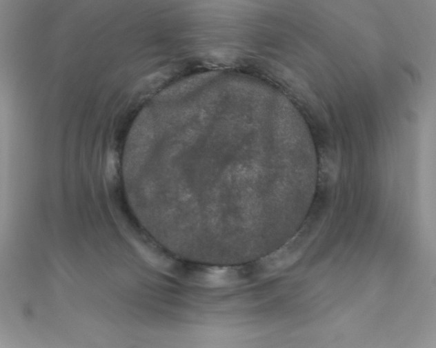 X0000111000130200907022145