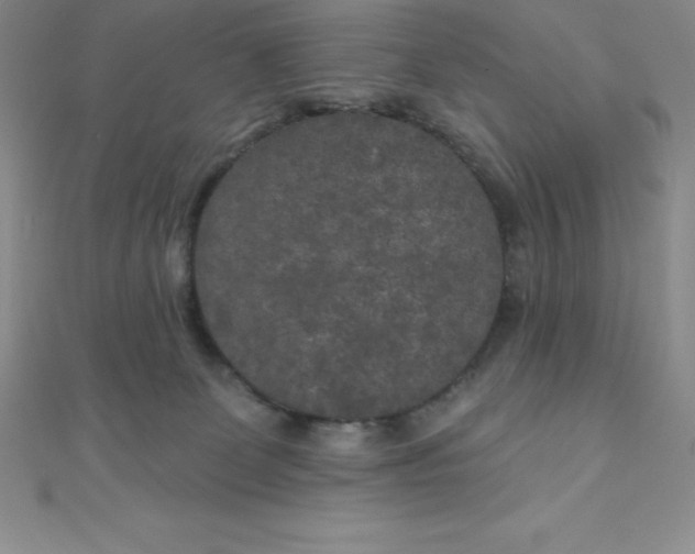 X0000111000131200907022145