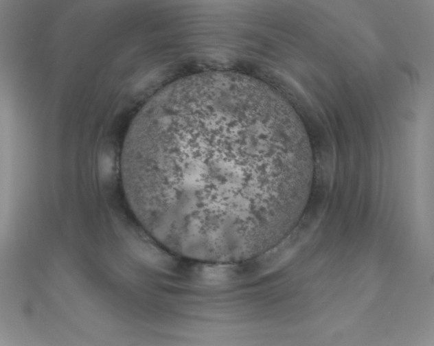 X0000111000134200907022145