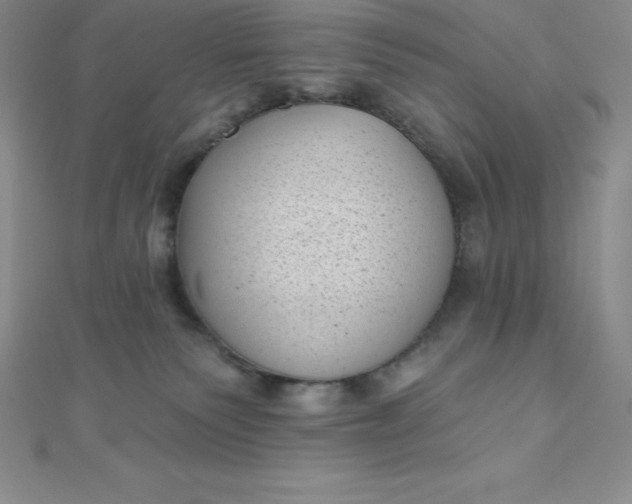 X0000111000135200907022145