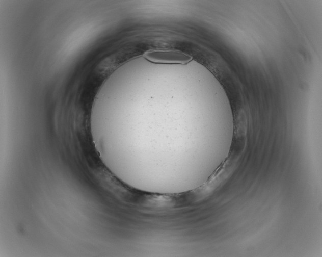 X0000111000140200907022145