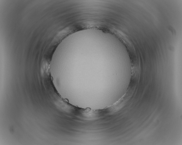 X0000111000142200907022145