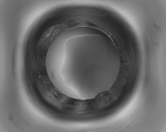 X0000111000143200907022145