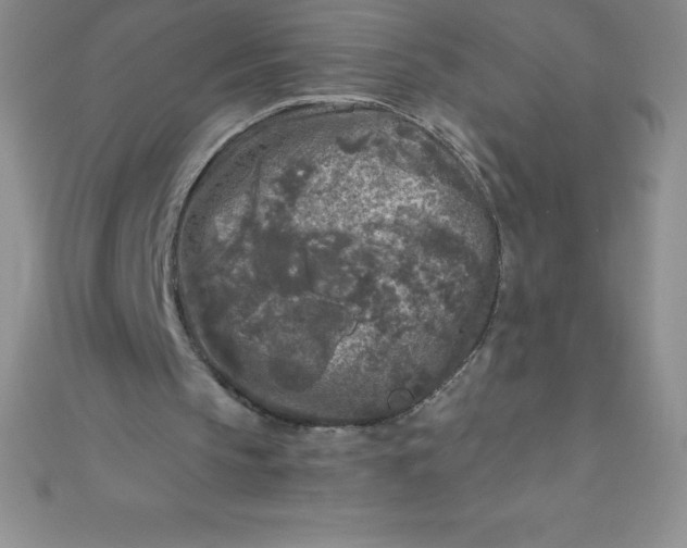 X0000111000145200907022144