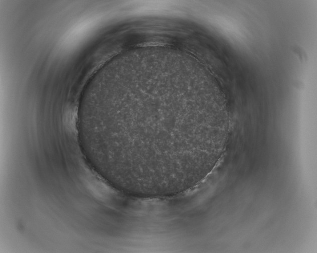 X0000111000146200907022144