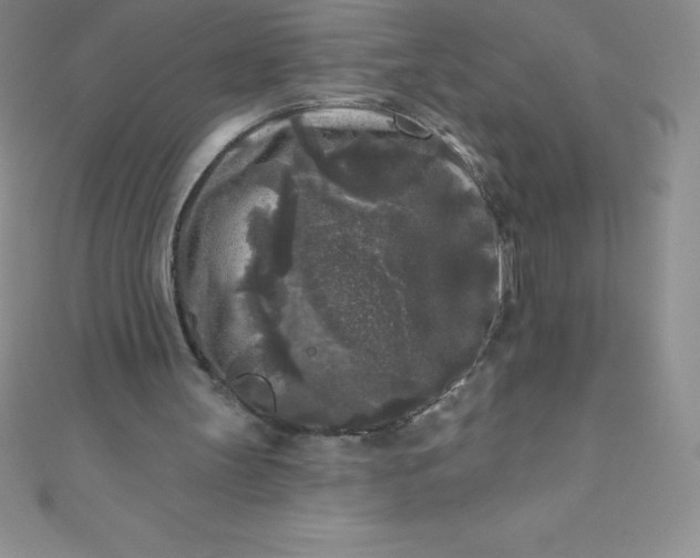 X0000111000147200907022144