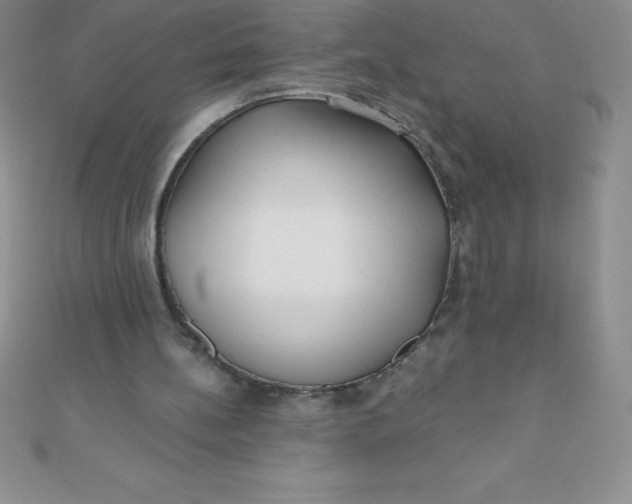 X0000111000148200907022144