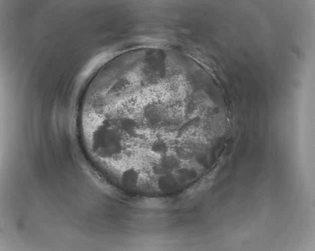 X0000111000149200907022144